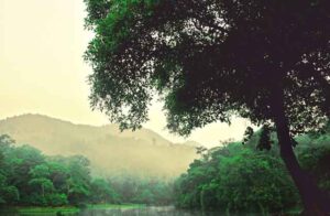 Best Resorts in Maredumilli