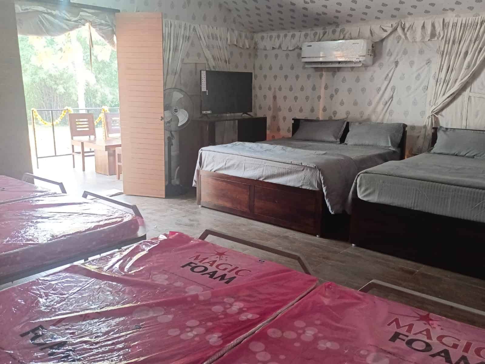 Paloma Holidays Jungle Safari Tents